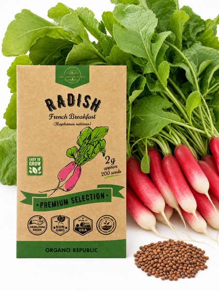 Radish French Breakfast Seeds