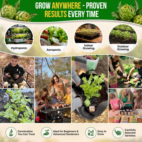 Green Globe Artichoke Seeds Pack 2G