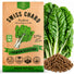 Swiss Chard Fordhook Seeds Pack 3.75G