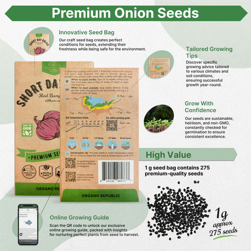Onion Red Burgundy Seeds Pack 1G