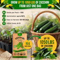 Dark Green Zucchini Seeds Pack 15G