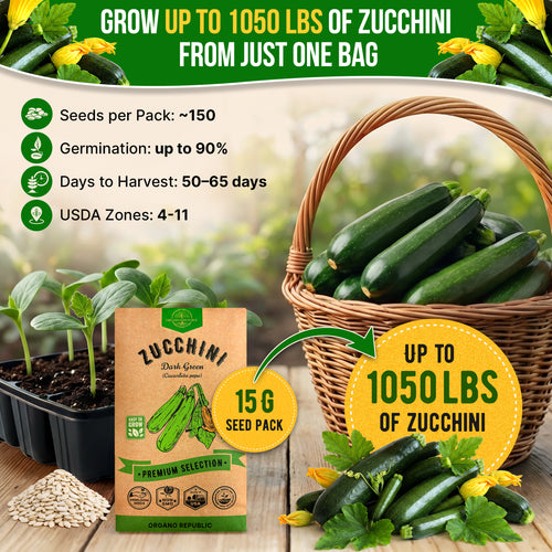 Dark Green Zucchini Seeds Pack 15G