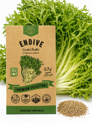 Endive Curled Ruffec Seeds