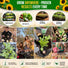 Sunflower Black Oil Seeds Pack 9G