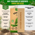 Arugula Roquette Seeds Pack 5G