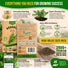 Arugula Roquette Seeds Pack 5G