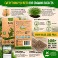Dill Bouquet Seeds Pack 5G