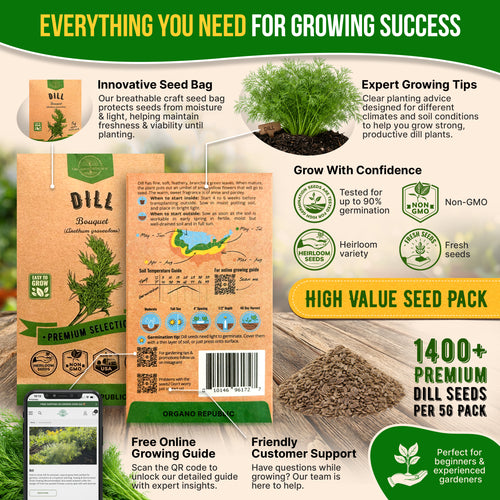 Dill Bouquet Seeds Pack 5G