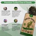 Curled Chervil Seeds Pack 2G