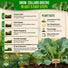 Collard Georgia Southern Seeds Pack 5G