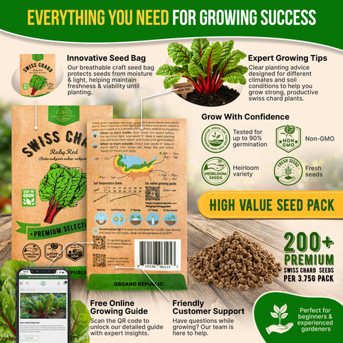 Swiss Chard Ruby Red Seeds Pack 3.75G
