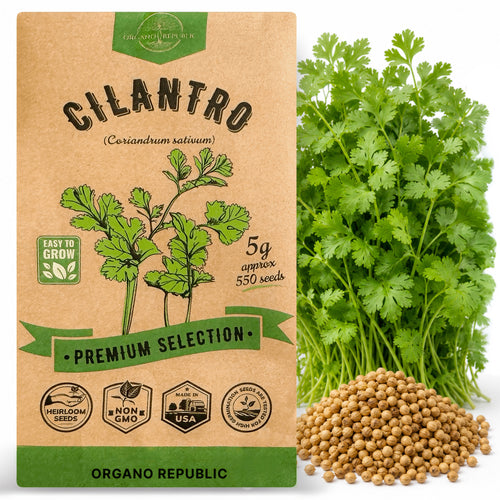 Cilantro Seeds Pack 5G