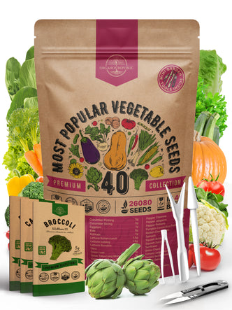 40 Vegetable Seeds Variety Pack