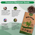 Marjoram Seeds Pack 0.15G