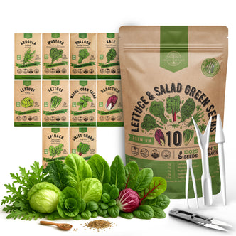 10 Lettuce & Salad Greens Seeds Variety Pack