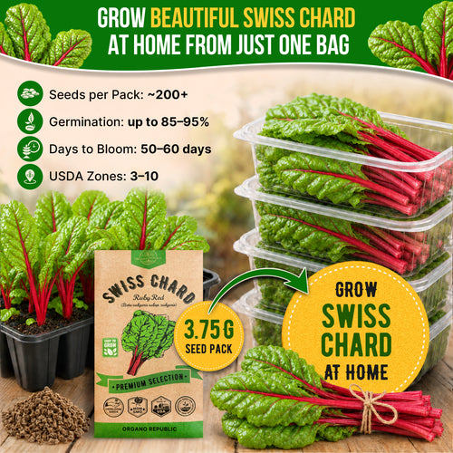 Swiss Chard Ruby Red Seeds Pack 3.75G