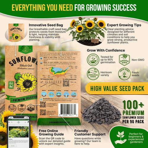 Sunflower Black Oil Seeds Pack 9G