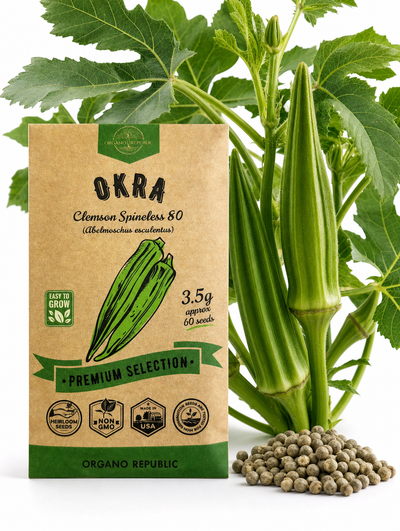 Okra Clemson Spineless 80 Seeds