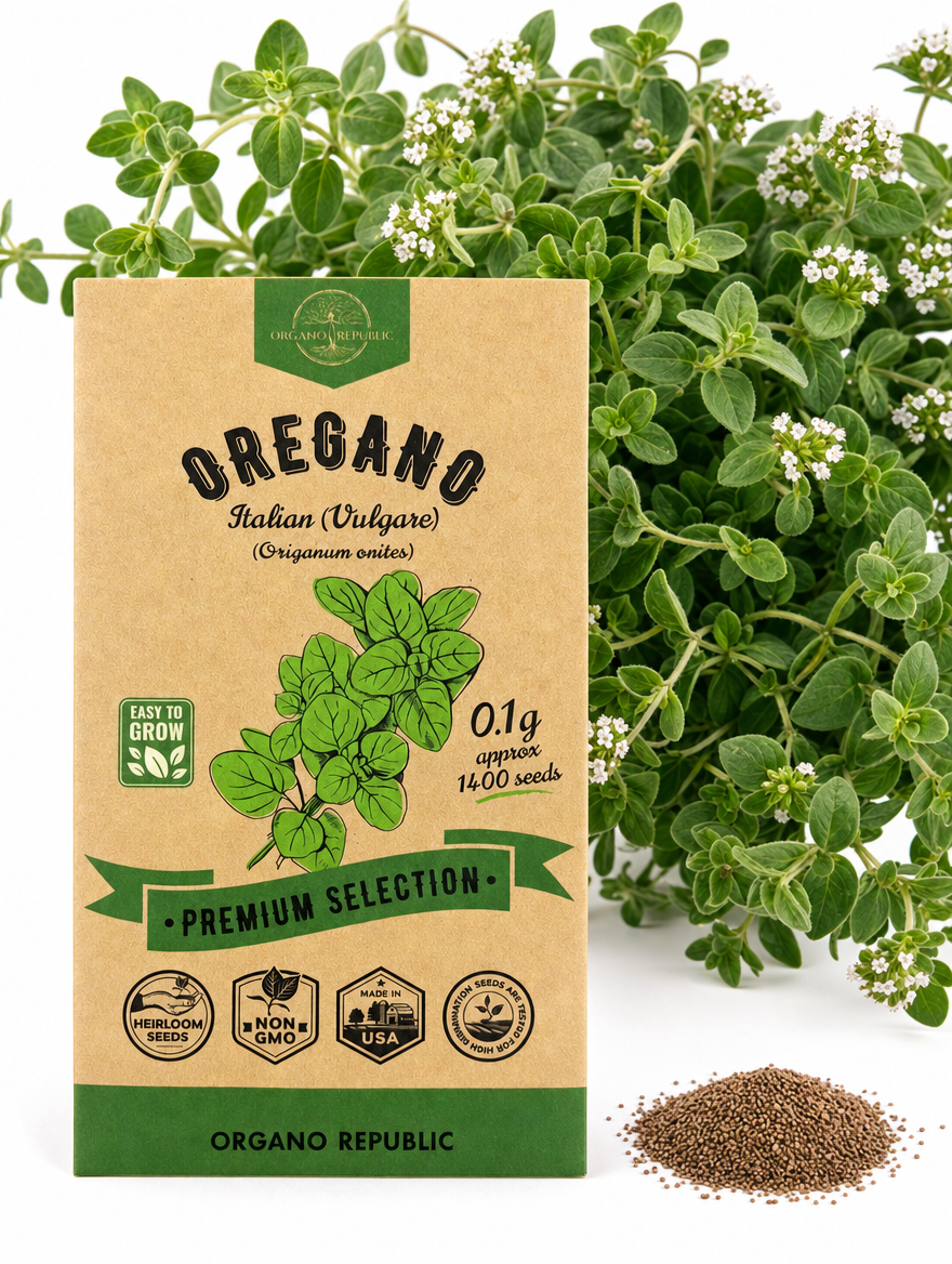 Italian Vulgare Oregano Seeds