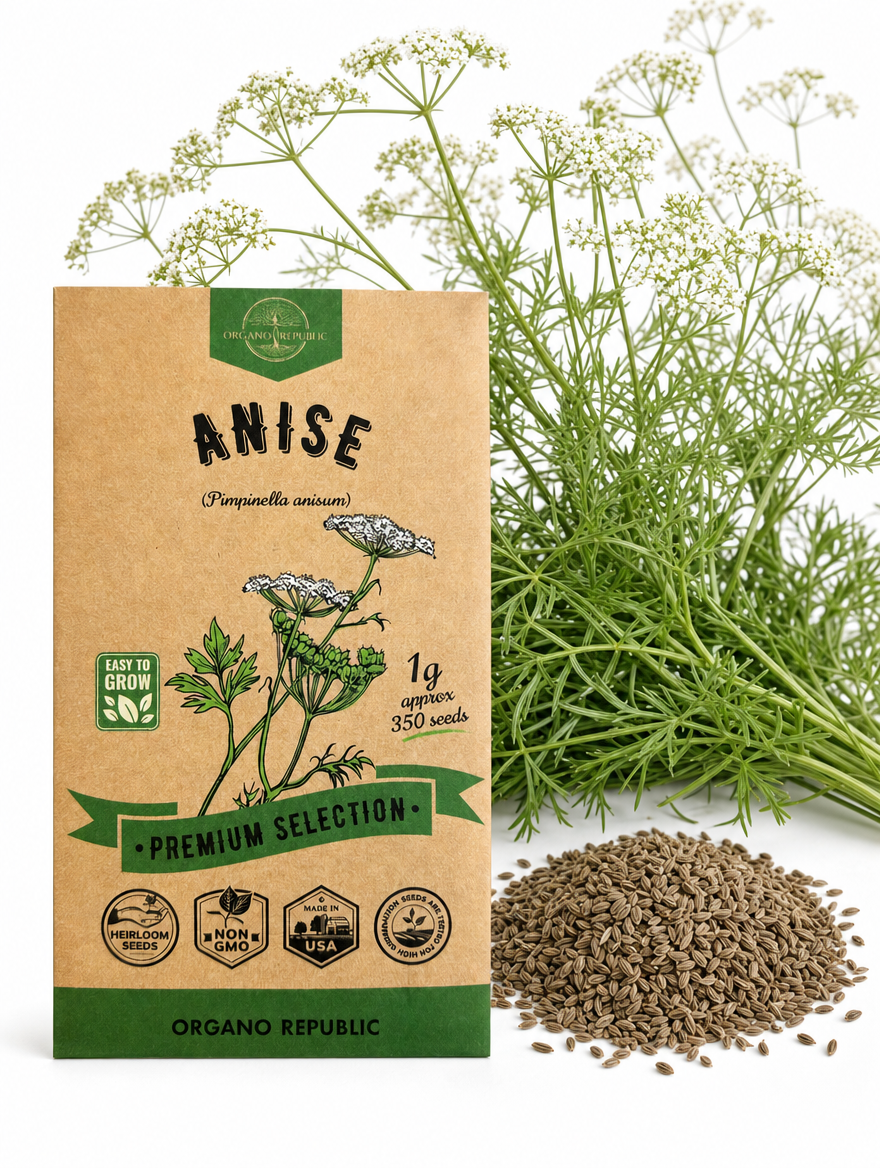 Anise Seeds