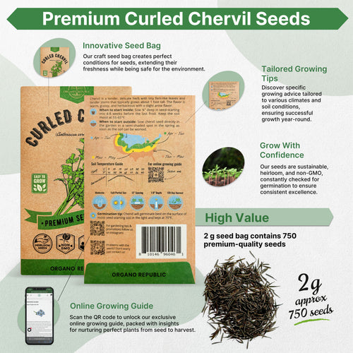 Curled Chervil Seeds Pack 2G