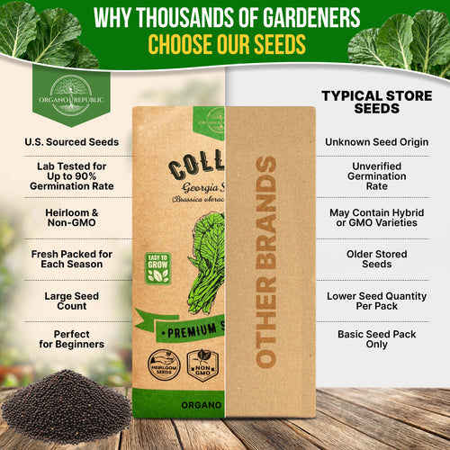 Collard Georgia Southern Seeds Pack 5G