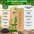 Collard Georgia Southern Seeds Pack 5G