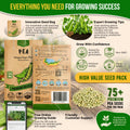 Pea Oregon Sugar Pod II Seeds Pack 15G