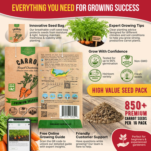 Carrot Royal Chantenay Seeds Pack 1G