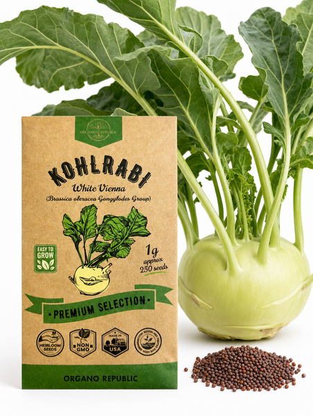 Kohlrabi White Vienna Seeds