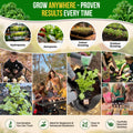 Kale Dwarf Siberian Seeds Pack 5G