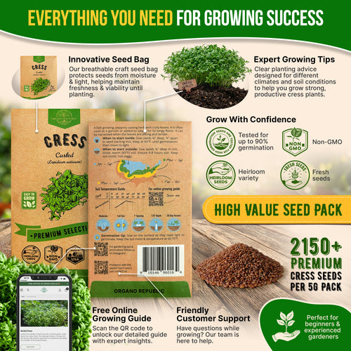 Curled Cress Seeds Pack 5G