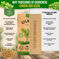 Cilantro Seeds Pack 5G