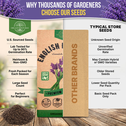 English Lavender Seeds Pack 2.5G