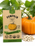 Pumpkin Connecticut Field Seeds