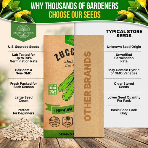 Dark Green Zucchini Seeds Pack 15G