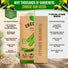 Dark Green Zucchini Seeds Pack 15G
