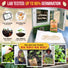 Pumpkin Connecticut Field Seeds Pack 10G