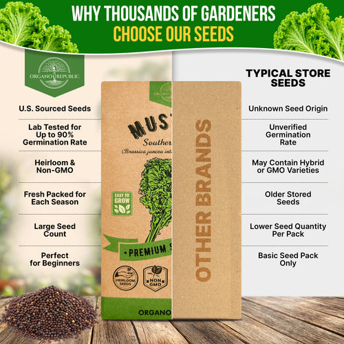Mustard Southern Giant Seeds Pack 5G