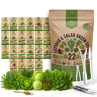 22 Lettuce & Salad Greens Seeds Variety Pack