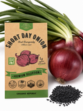 Onion Red Burgundy Seeds