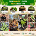 Swiss Chard Fordhook Seeds Pack 3.75G