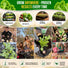 Mustard Southern Giant Seeds Pack 5G