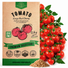 Tomato Large Cherry Seeds Pack 0.8G