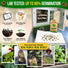 Swiss Chard Fordhook Seeds Pack 3.75G