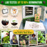 Collard Georgia Southern Seeds Pack 5G