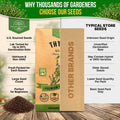 Thyme Seeds Pack 0.5 G