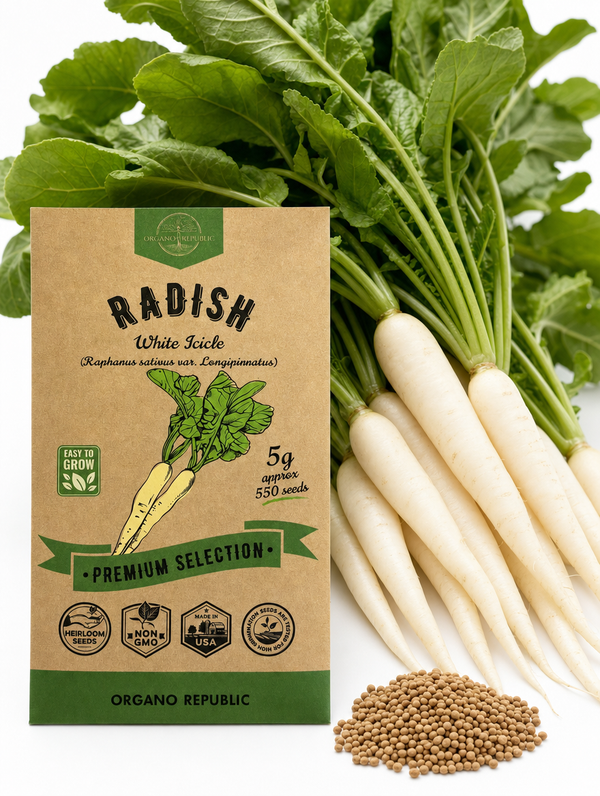 Radish White Icicle Seeds