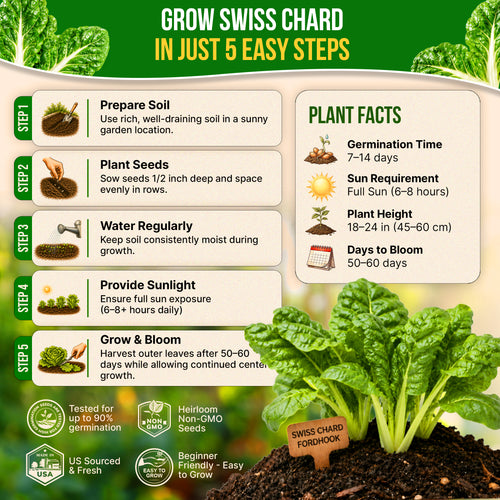 Swiss Chard Fordhook Seeds Pack 3.75G