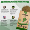 Tall Utah Celery Seeds Pack 2G
